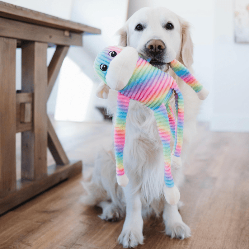 ZippyPaws Spencer the Crinkle Monkey Dog Toy
