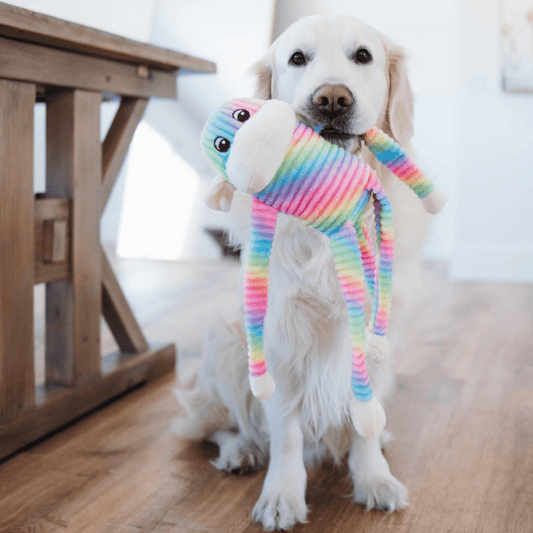ZippyPaws Spencer the Crinkle Monkey Dog Toy