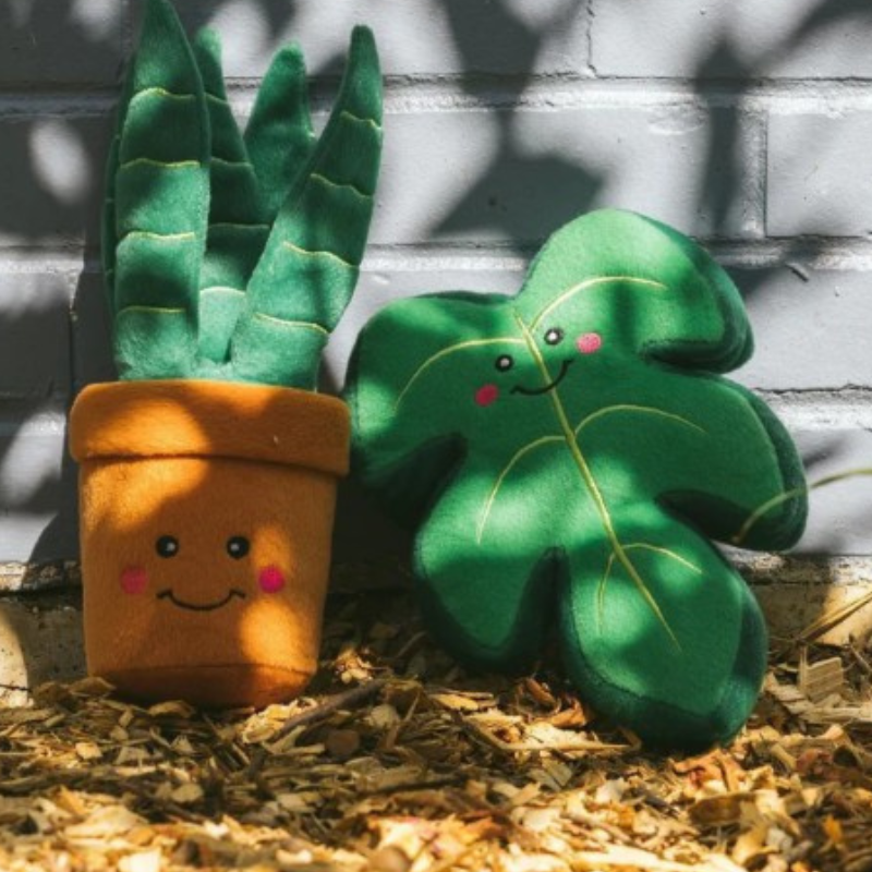 ZippyPaws Squeakie Pattiez Monstera Dog Toy - DOGUE