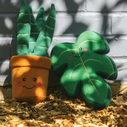 ZippyPaws Squeakie Pattiez Monstera Dog Toy - DOGUE