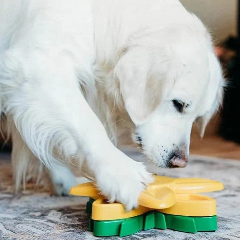 ZippyPaws SmartyPaws Puzzler Sunflower Dog Toy