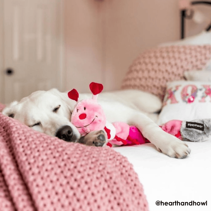 feel-the-love-with-our-valentines-collection