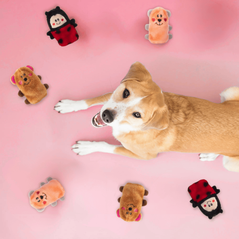 ZippyPaws Valentines Squeakie Buddies Dog Toy 3pk