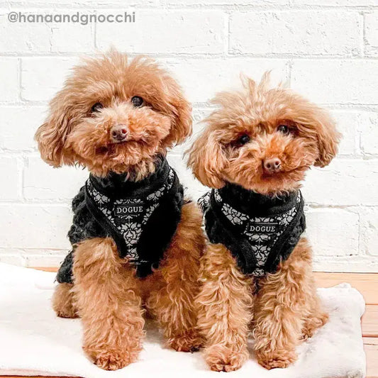 DOGUE Fleur Dog Harness | Buy Online at DOGUE Australia