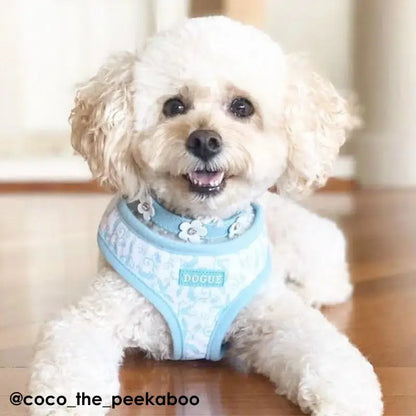 DOGUE Damask Dog Harness | Buy Online at DOGUE Australia