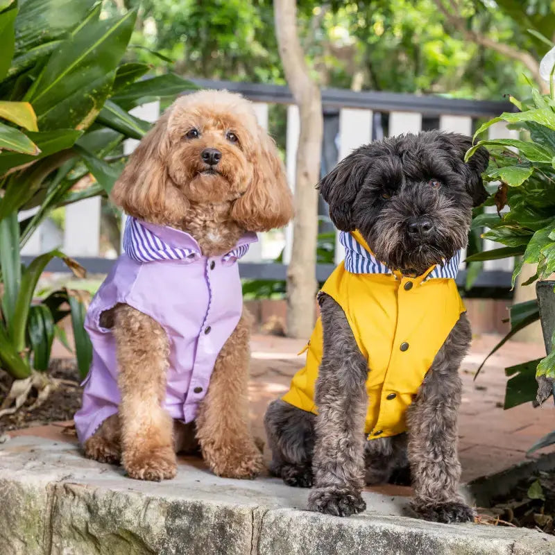 DOGUE Essential Dog Raincoat - DOGUE