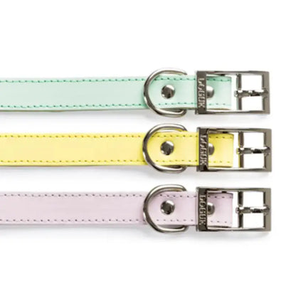 DOGUE Gelato Dog Collar - DOGUE