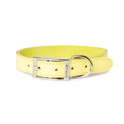 DOGUE Gelato Dog Collar - DOGUE