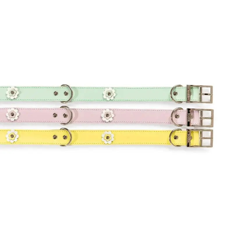 DOGUE Gelato Flower Dog Collar - DOGUE