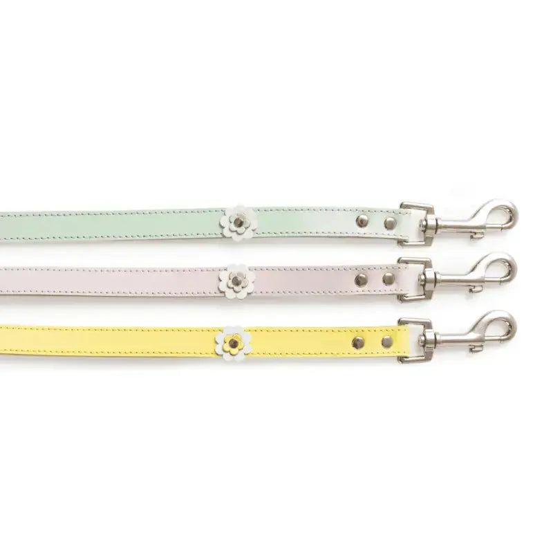 DOGUE Gelato Flower Dog Lead - DOGUE