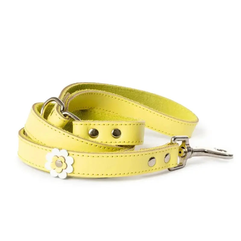 DOGUE Gelato Flower Dog Lead - DOGUE