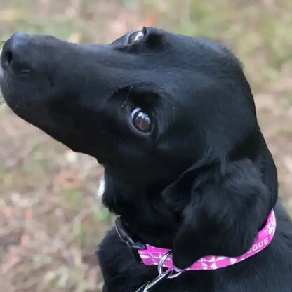 DOGUE Geometric Dog Collar - DOGUE