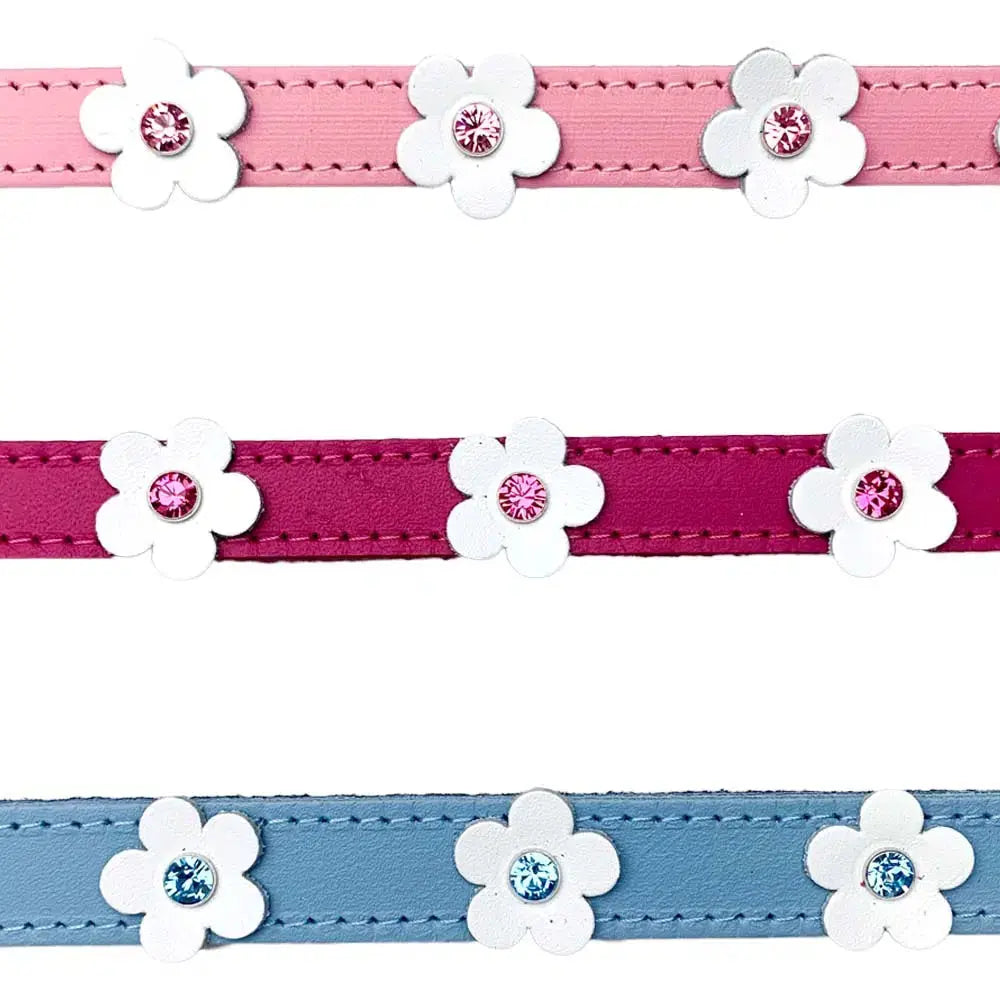 DOGUE Foxy Dog Collar Limited Edition | Buy Online at DOGUE Australia