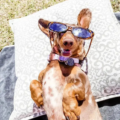 PUPSTYLE Gingham Dog Collar - DOGUE