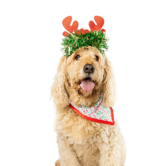 DOGUE Holiday Dog Bandana | Buy Online at DOGUE Australia