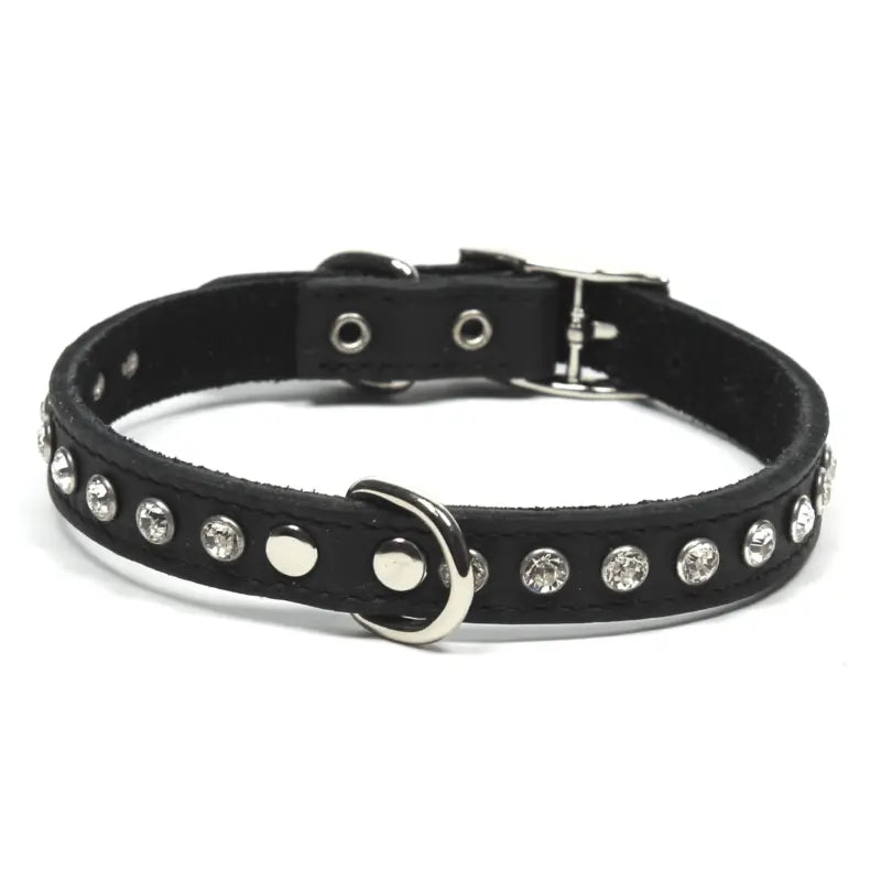 Leather Glamour Dog Collar Buy Online at DOGUE